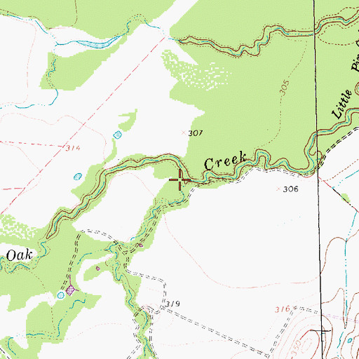 Topographic Map of Mesquite Creek, TX