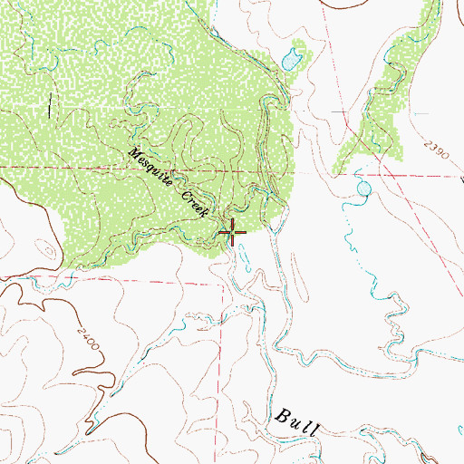 Topographic Map of Mesquite Creek, TX