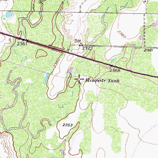 Topographic Map of Mesquite Tank, TX