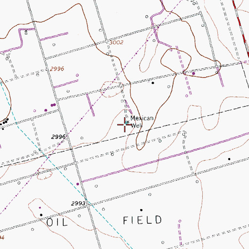 Topographic Map of Mexican Well, TX