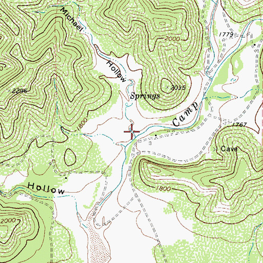 Topographic Map of Michael Hollow, TX