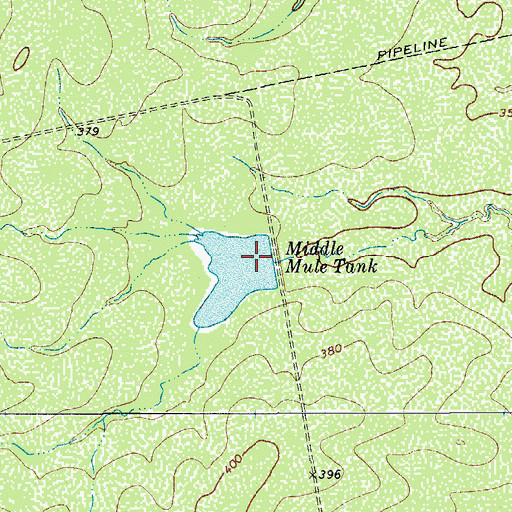 Topographic Map of Middle Mule Tank, TX