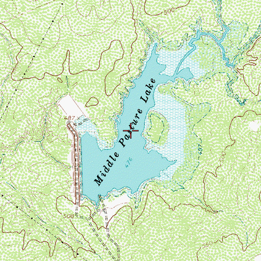 Topographic Map of Middle Pasture Lake, TX