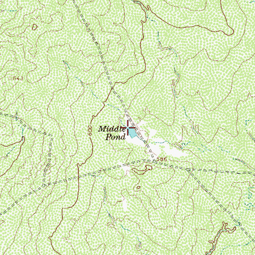 Topographic Map of Middle Pond, TX