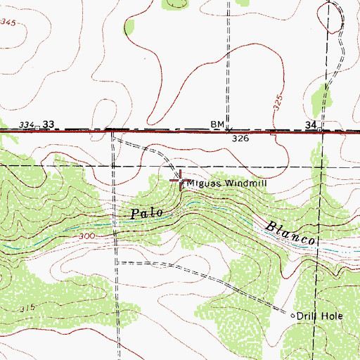 Topographic Map of Miguas Windmill, TX