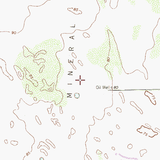 Topographic Map of Mineral Pasture, TX