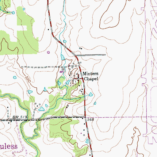 Topographic Map of Minters Chapel, TX