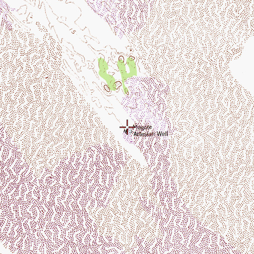 Topographic Map of Mogote Artesian Well, TX