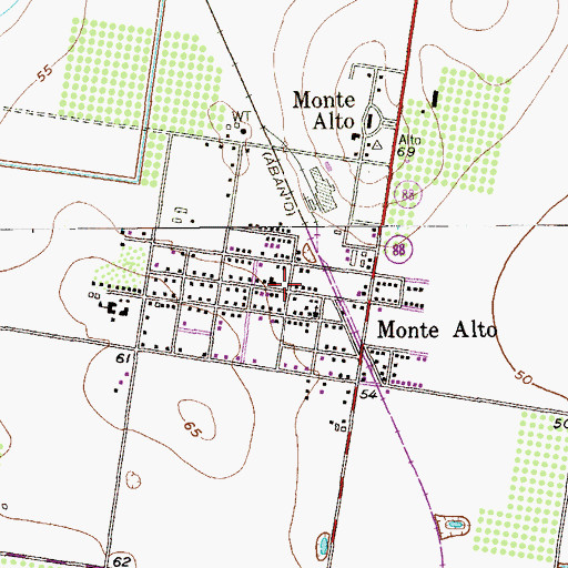 Topographic Map of Monte Alto, TX