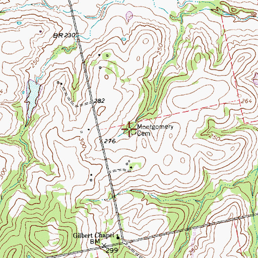 Topographic Map of Montgomery Cemetery, TX