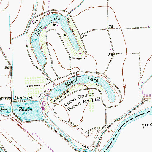 Topographic Map of Moon Lake, TX