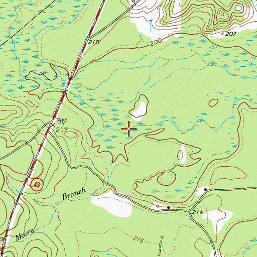 Topographic Map of Moore Branch, TX