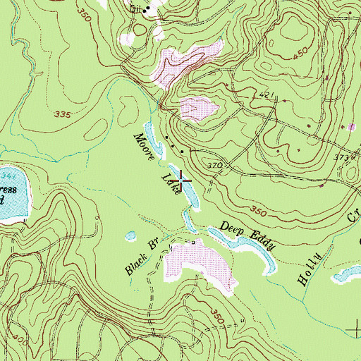 Topographic Map of Moore Lake, TX
