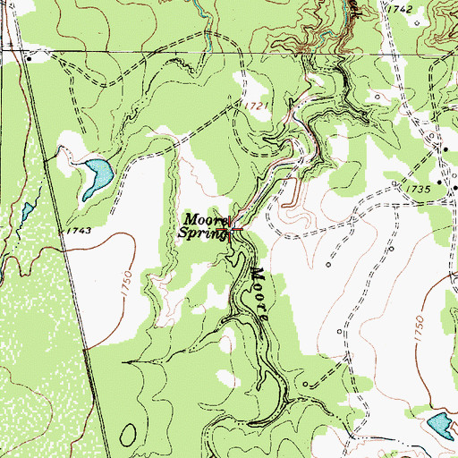 Topographic Map of Moore Spring, TX