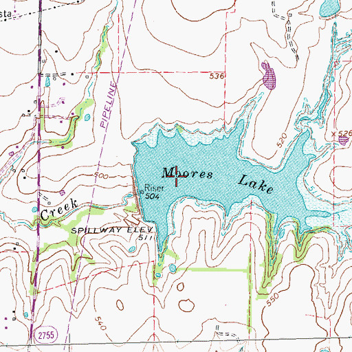 Topographic Map of Moores Lake, TX