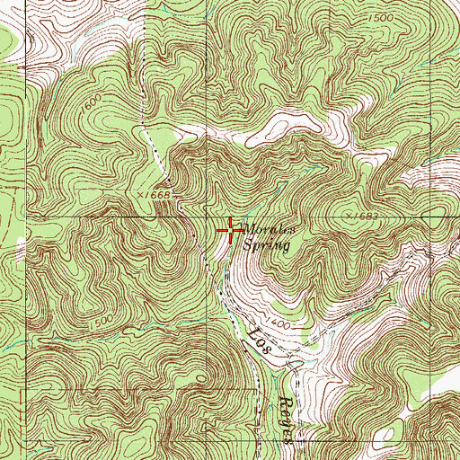 Topographic Map of Morales Spring, TX