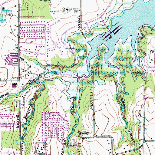Topographic Map of Morehead Branch, TX