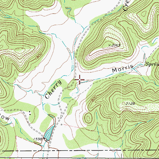 Topographic Map of Morris Hollow, TX