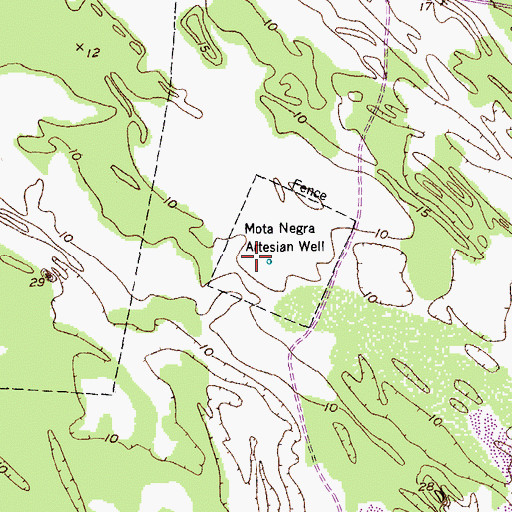 Topographic Map of Mota Negra Artesian Well, TX