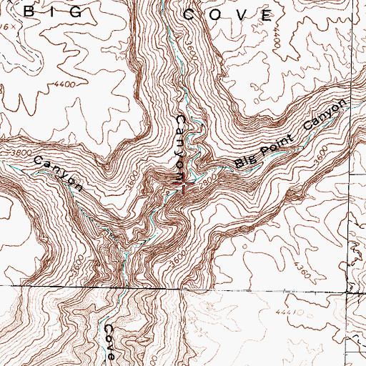 Topographic Map of Big Point Canyon, AZ
