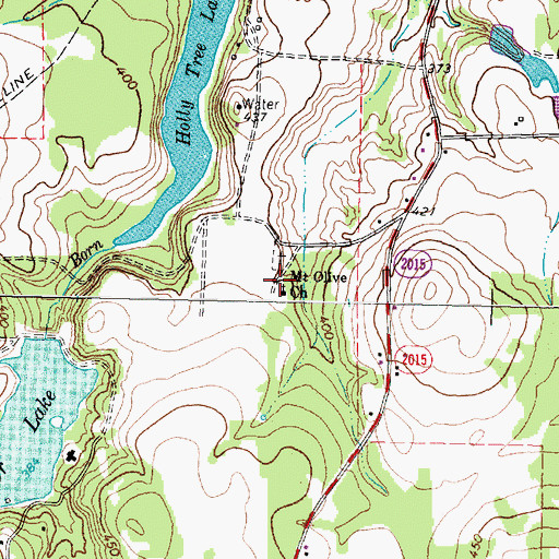 Topographic Map of Mount Olive Church, TX
