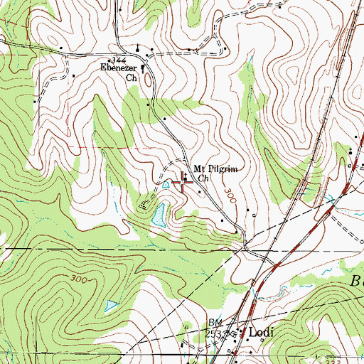 Topographic Map of Mount Pilgrim Church, TX