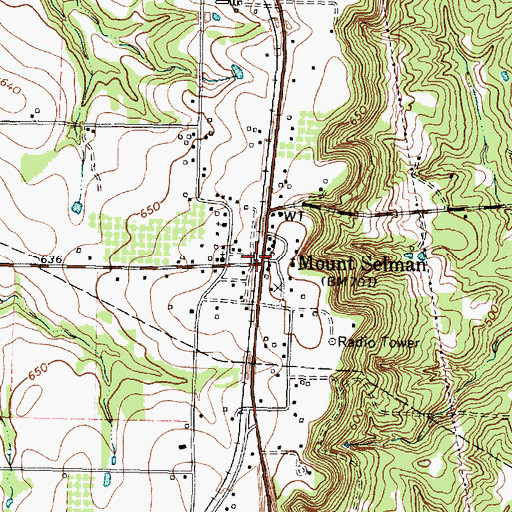 Topographic Map of Mount Selman, TX