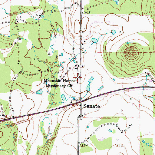 Topographic Map of Mountain Home Missionary Church, TX