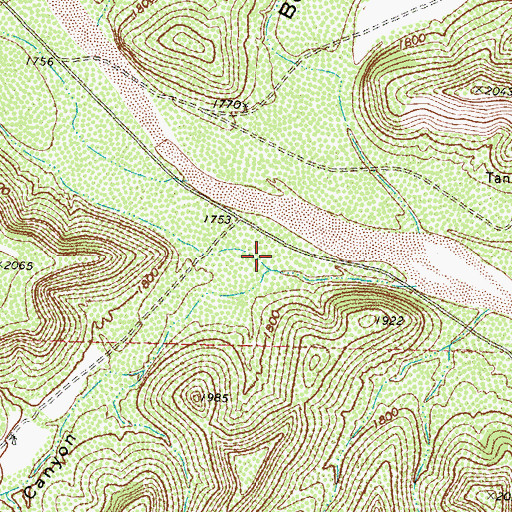 Topographic Map of Mud Canyon, TX