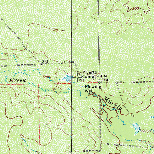 Topographic Map of Muerto Camp, TX