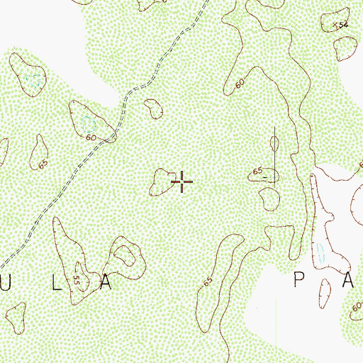 Topographic Map of Mula Pasture, TX