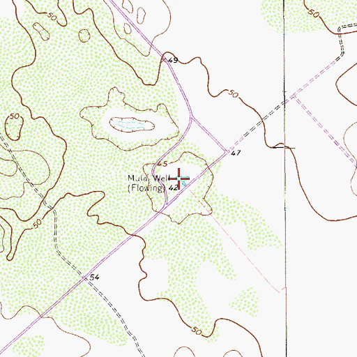 Topographic Map of Mula Well, TX