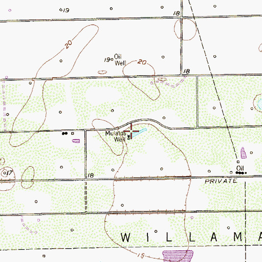 Topographic Map of Mulatos Well, TX