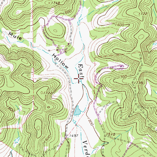 Topographic Map of Mule Hollow, TX
