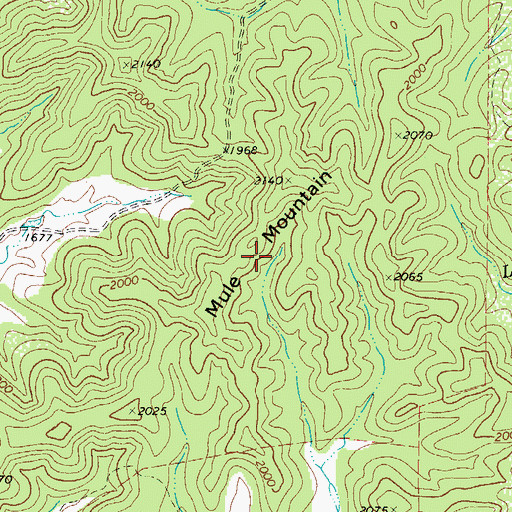 Topographic Map of Mule Mountain, TX