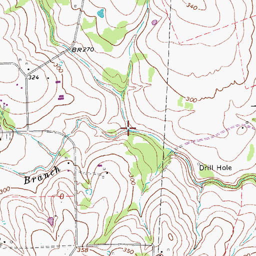 Topographic Map of Mule Spring Branch, TX