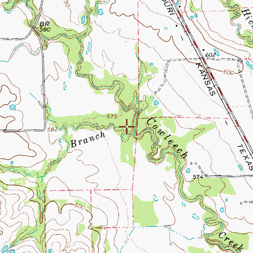 Topographic Map of Muriel Branch, TX