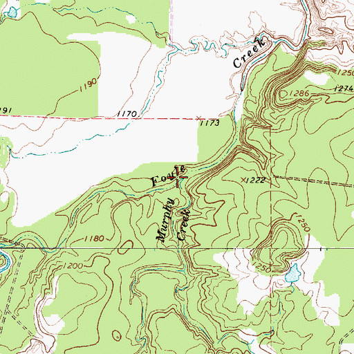 Topographic Map of Murphy Creek, TX