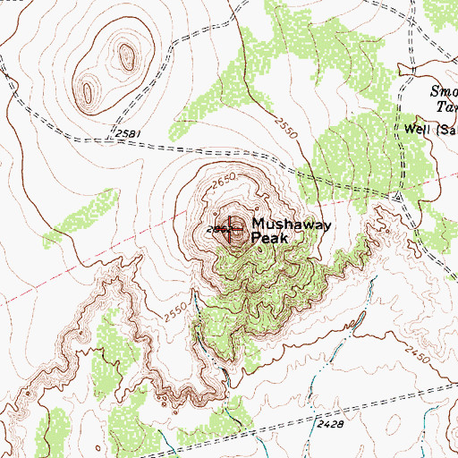 Topographic Map of Mushaway Peak, TX