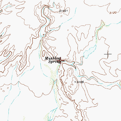 Topographic Map of Muskhog Spring, TX