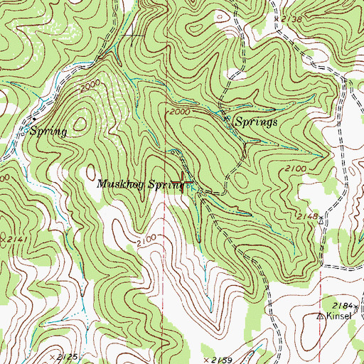 Topographic Map of Muskhog Spring, TX