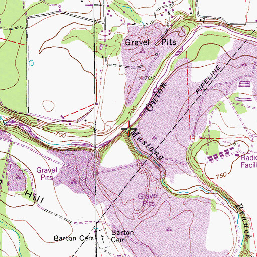 Topographic Map of Mustang Branch, TX