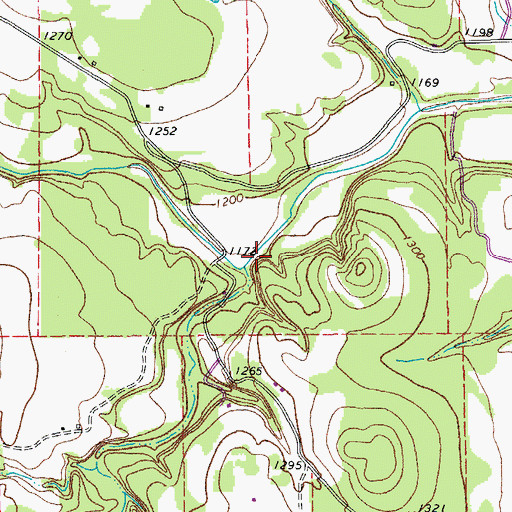 Topographic Map of Mustang Branch, TX