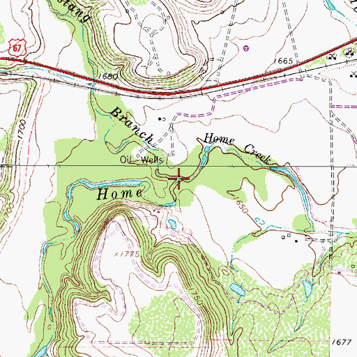 Topographic Map of Mustang Branch, TX