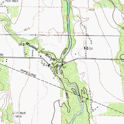 Topographic Map of Mustang Branch, TX