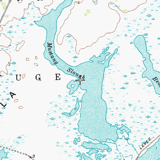 Topographic Map of Mustang Slough, TX