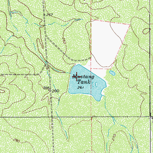 Topographic Map of Mustang Tank, TX