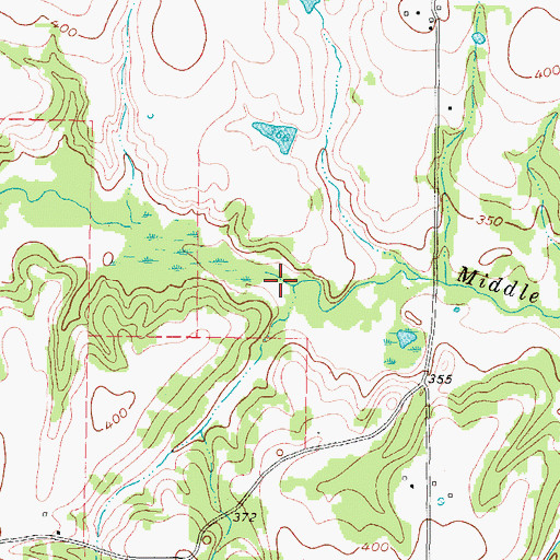 Topographic Map of Myrtle Springs Branch, TX