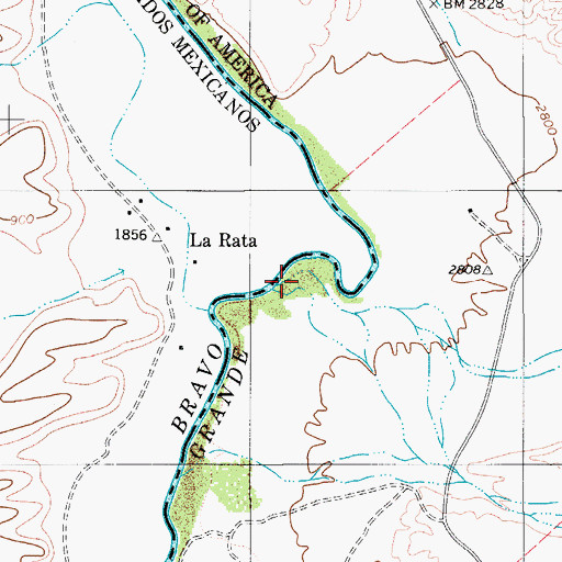 Topographic Map of Naegele Creek, TX