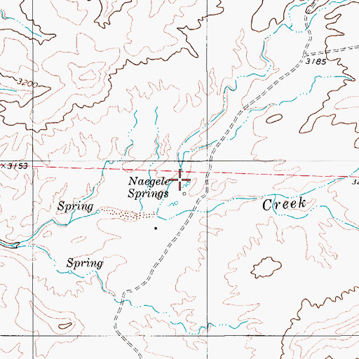 Topographic Map of Naegele Springs, TX